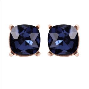 Just in...💕Montana Blue Stud Earrings💕